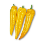 Poivron Corne Jaune kg