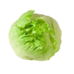Salade Iceberg pc
